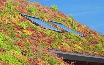 West Retford living roof systems