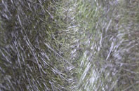 West Retford fibreglass roof work